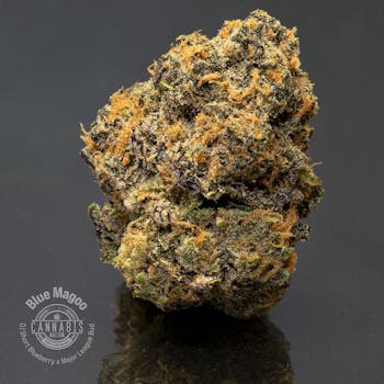Flower | Blue Magoo